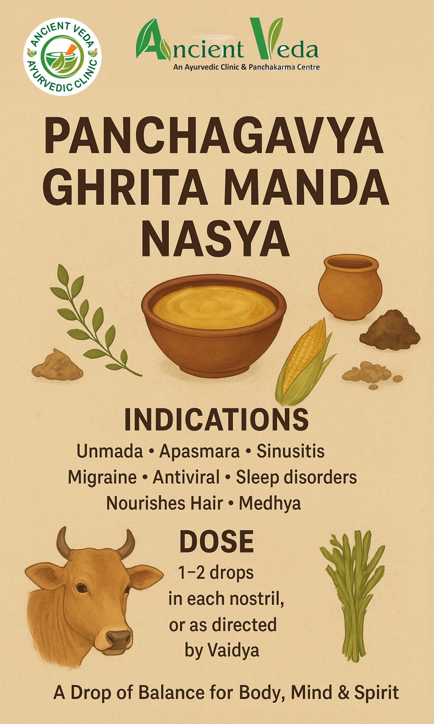 Panchagavya Ghrita Manda Nasya